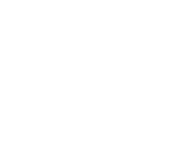 Link Cargo Logo